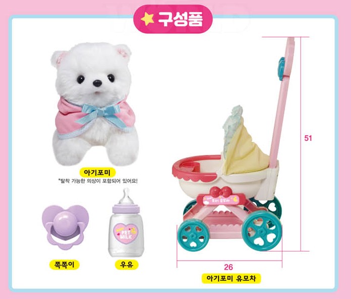 아기 강아지 포미