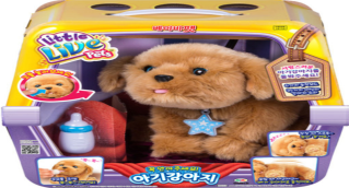 아기고양이